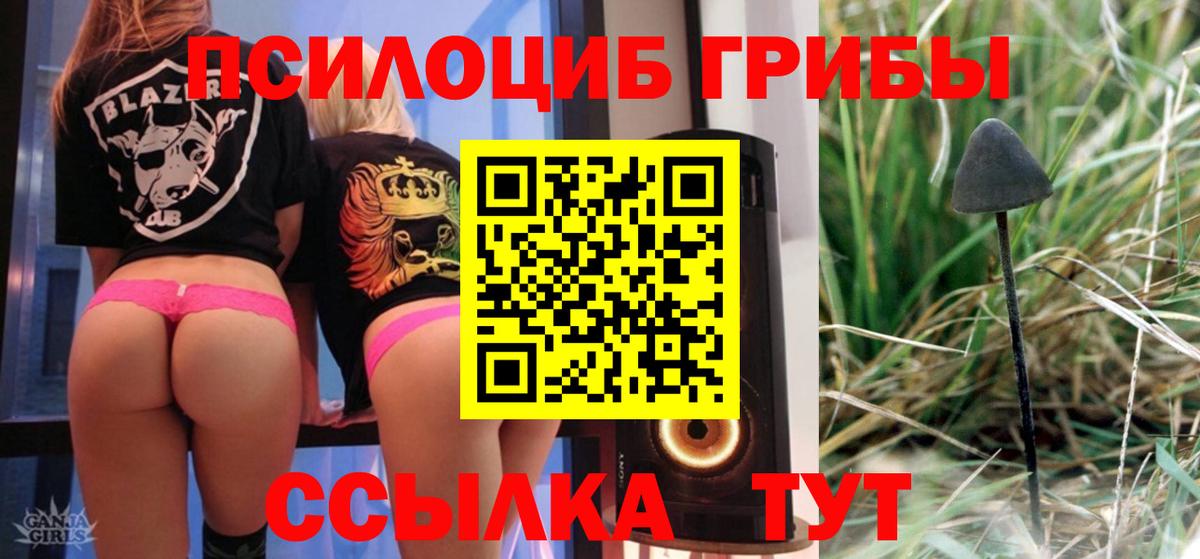 Галлюциногенные грибы прущие грибы  Вход с VPN  Югорск 