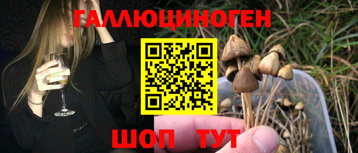 Галлюциногенные грибы мицелий Югорск
